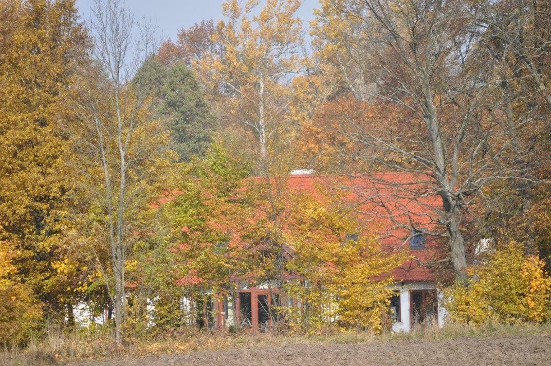 Poza Zgielkiem Vila Węgorzewo Exterior foto