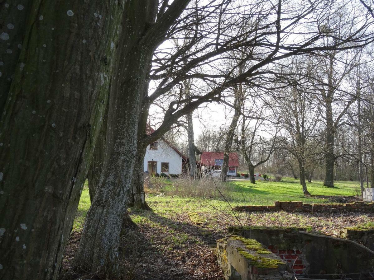 Poza Zgielkiem Vila Węgorzewo Exterior foto
